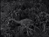 The Odyssey of Flight #33 [1961 The Twilight Zone TV Episode]
