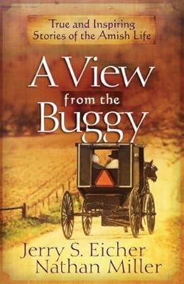 A View from the Buggy