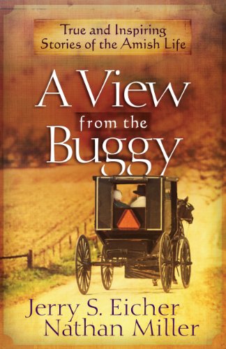 A View from the Buggy by Jerry S Eicher