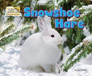 Snowshoe Hare