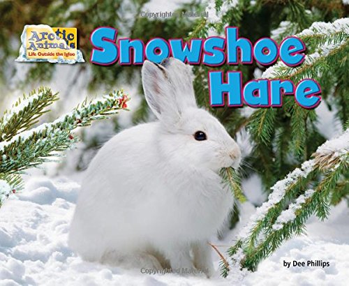 Snowshoe Hare by Dee Phillips
