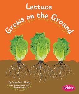 Lettuce Grows on the Ground