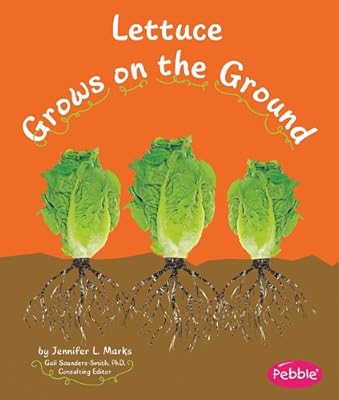 Lettuce Grows on the Ground
