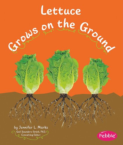 Lettuce Grows on the Ground by Mari Schuh