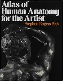 Atlas of Human Anatomy for the Artist: 9780195000528: Medicine & Health