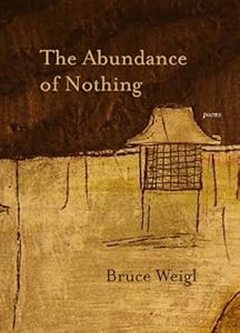 The Abundance of Nothing: Poems (Triquarterly)