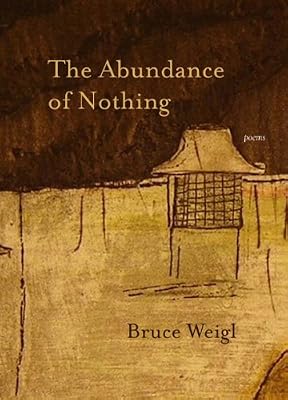 The Abundance of Nothing: Poems (Triquarterly)