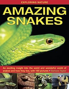 Exploring Nature: Amazing Snakes: An Exciting Insight Into the Weird and Wonderful World of Snakes and How They Live, with 190 Pictures by Barbara Taylor