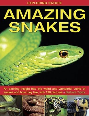 Exploring Nature: Amazing Snakes: An Exciting Insight Into the Weird and Wonderful World of Snakes and How They Live, with 190 Pictures