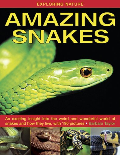 Exploring Nature: Amazing Snakes: An Exciting Insight Into the Weird and Wonderful World of Snakes and How They Live, with 190 Pictures by Barbara Taylor