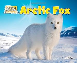 Arctic Fox