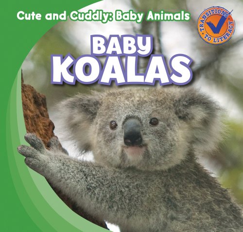 Baby Koalas (Cute and Cuddly: Baby Animals) by Katie Kawa
