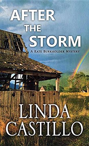 After the Storm by Linda Castillo