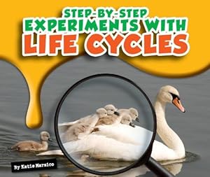 Step-By-Step Experiments with Life Cycles