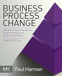 Business Process Change: A Business Process Management Guide for Managers and Process Professionals
