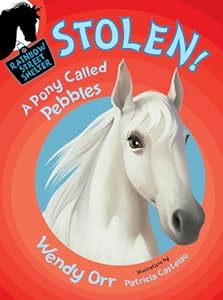STOLEN! A Pony Called Pebbles
