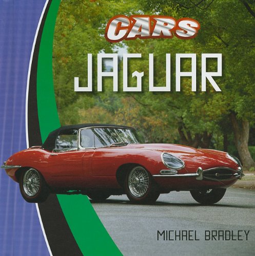 Jaguar by Michael Bradley