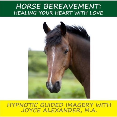 Algopix Similar Product 11 - Horse Bereavement Healing Your Heart