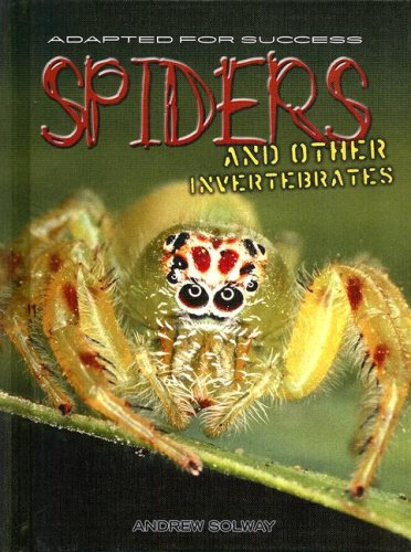 Spiders and Other Invertebrates (Adapted for Success) by Andrew Solway