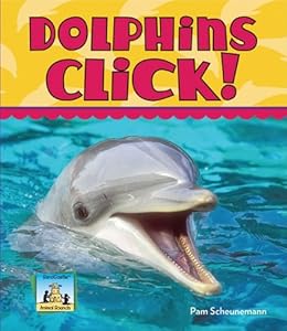 Dolphins Click!