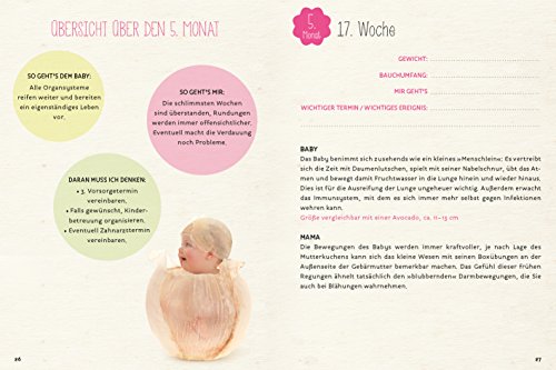 Schwangerschaftstagebuch: Anne Geddes - 