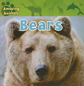 Bears (Amazing Animals)