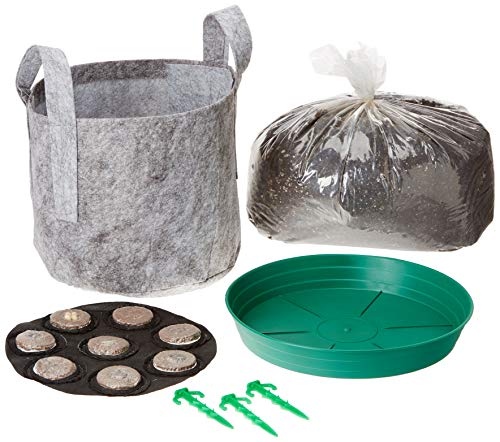 Algopix Similar Product 9 - Grow Your Own Cocktails Container