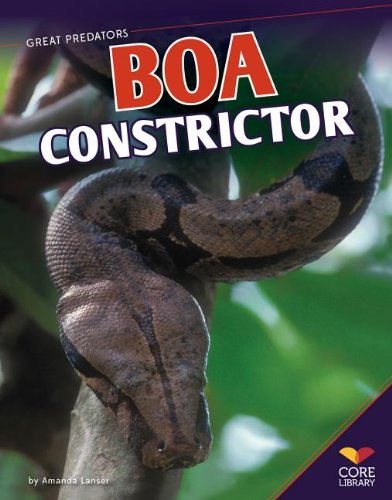 Boa Constrictor by Amanda Lanser