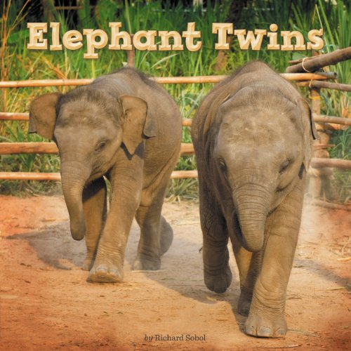 Elephant Twins by Richard Sobol