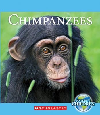 Chimpanzees