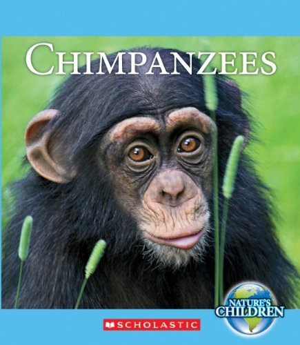 Chimpanzees by Katie Marsico