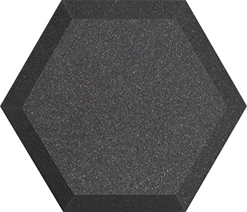 Algopix Similar Product 14 - Ultimate Acoustics UAHX12CH 12 Class