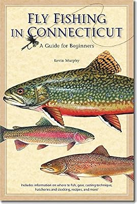 Fly Fishing in Connecticut: A Guide for Beginners (Garnet Books)