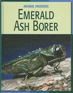 Emerald Ash Borer (Animal Invaders)