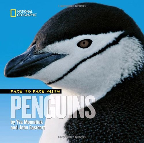 Face to Face with Penguins (Face to Face with Animals) by Yva Momatiuk
