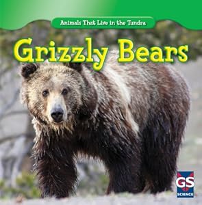 Grizzly Bears