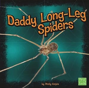 Daddy Long-Leg Spiders
