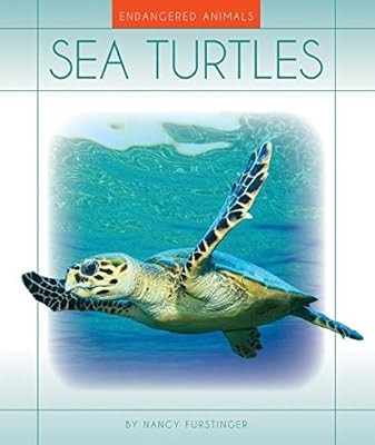 Sea Turtles