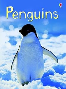 Penguins (Usborne Beginners)