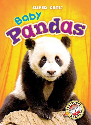 Baby Pandas by Bethany Olson