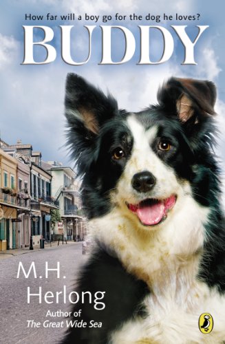 Buddy by M.H. Herlong