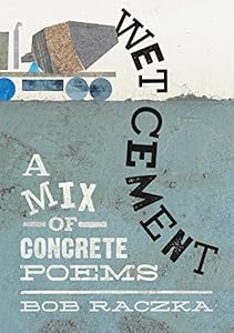 Wet Cement: A Mix of Concrete Poems