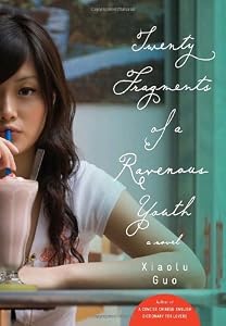 Twenty Fragments of a Ravenous Youth: A Novel