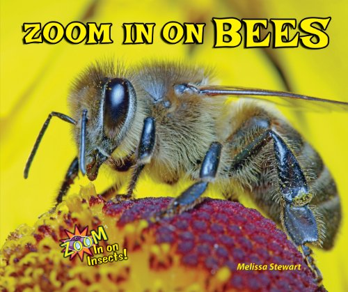 Zoom in on Bees by Melissa Stewart