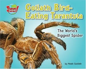 Goliath Bird-Eating Tarantula: The World's Biggest Spider