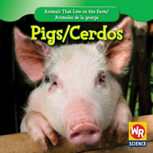 Pigs/ Cerdos by JoAnn Early Macken