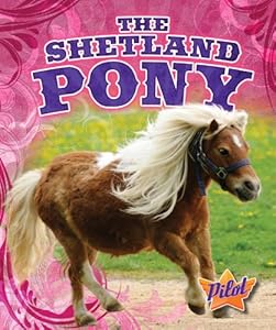 The Shetland Pony