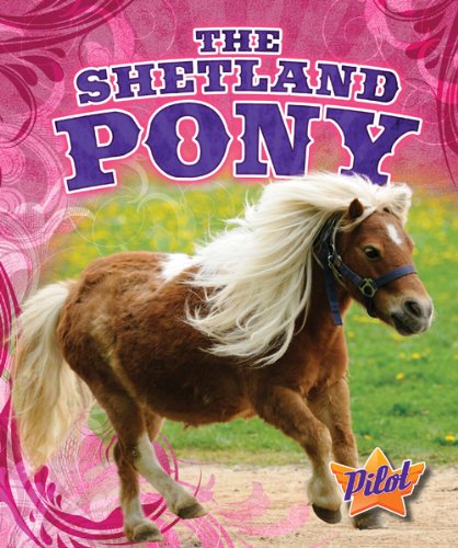 The Shetland Pony by Sara Green