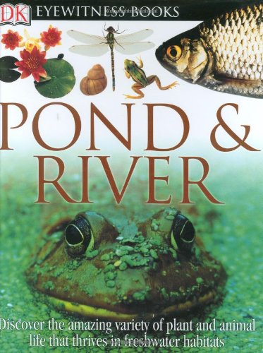 Pond by Steve Parker