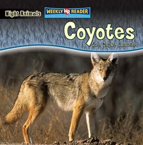 Coyotes Are Night Animals